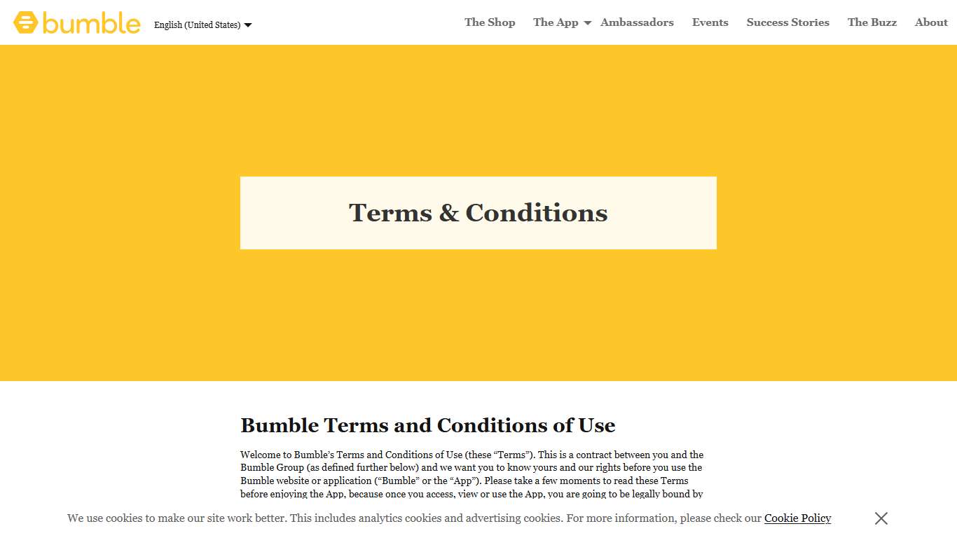 Bumble - terms